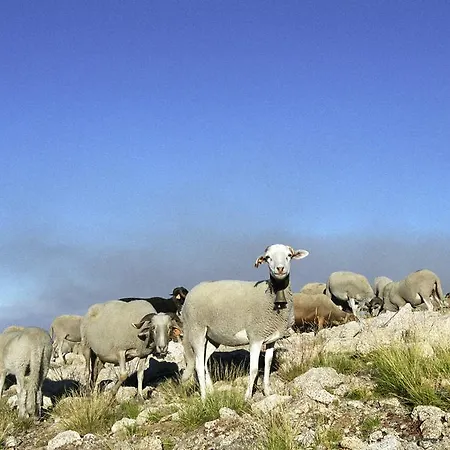 Casa vacanze Inxisto Piódão