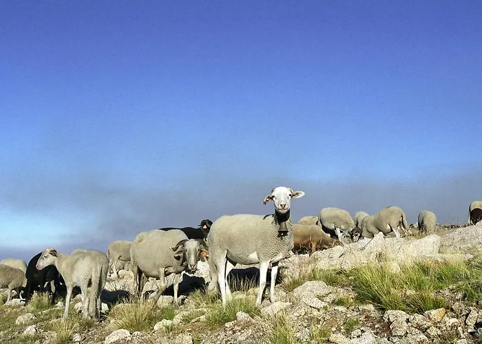 펜션 Inxisto Piódão